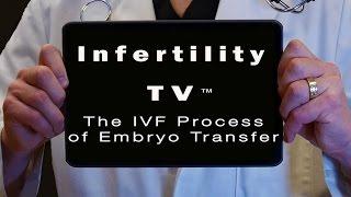 The IVF Process of Embryo Transfer | Infertility TV