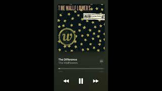 My random SOTD: The Difference by @TheWallflowersVEVO #songoftheday #thewallflowers #shorts