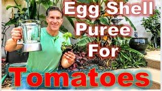 TOMATO CARE | EGG SHELL PUREE  |  NPK-CA |  PEST CONTROL | IV ORGANIC PLANT GUARD