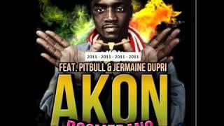 DJ Felli Fel F Akon Pitbull & Jermaine Dupri Boomerang Dj D Style Vs X Mix Remix {127 BPM} Video Edit   YouTube