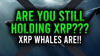 ARE YOU STILL HOLDING XRP? HUGE XRP WHALES STILL HERE! MORGAN STANLEY $150B BITCOIN? VET UNDERVALUED