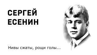 Сергей Есенин Нивы сжаты, рощи голы Учи стихи легко Аудио Стихи Слушать Онлайн