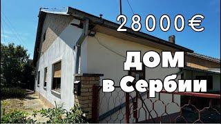 Что можно купить за 28000€ в Сербии? Дом в селе Купусина