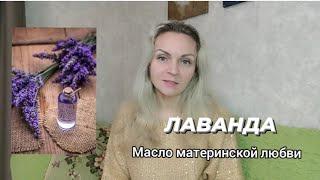 ЛАВАНДА. Применение и результат.#лаванда.