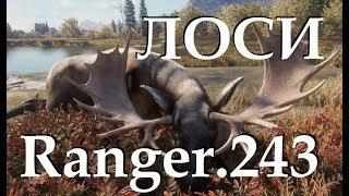 TheHunter Call of the Wild Гайд по охоте на Лосей с винтовкой RANGER.243