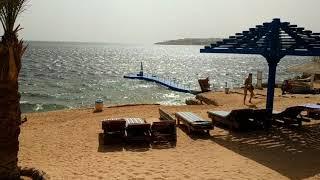 Sharks Bay, Grand Oasis Resort, пляж, cередина февраля