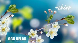 Morning Relaxing Music - Piano Music, Positive Background Music (Molly)