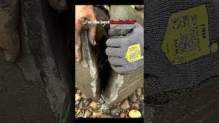 The best️️ #bestvideo #troll#edit#viralvideo