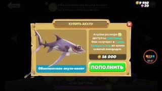 Прохождение игры Hungry Shark World сельдевая акула с кракеном. Хороший охотник, несмотря на размеры