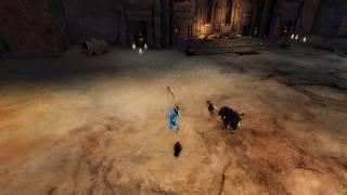 Guild Wars 2 Glitch - Canach and Lady Kasmeer are Afraid of a Little Bug