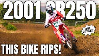 Riding a MINT 2001 CR250 (FACTORY)