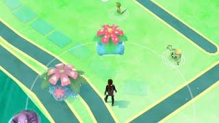 Boosted Shiny Venusaur Appear in Wild.. Friendship Day Event| Pokemon Go.. Boosted Grass types