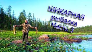 Шикарная рыбалка на горной реке! ОГРОМНЫЙ ХАРИУС! Часть 3