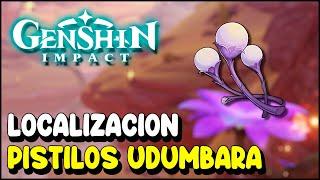 Genshin Impact Localización PISTILOS DE UDUMBARA   Actualización 3 6