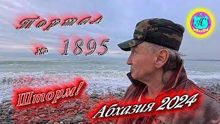 #Абхазия2024 29 декабря. Выпуск №1895Погода от Серого Волкавчера +16°ночью +8°море +12°