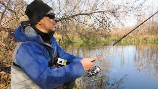 Perch Started Biting. Lures That Perch Won't Miss