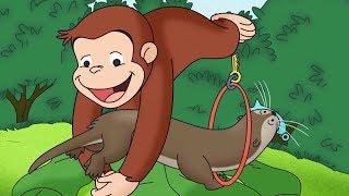 Curious George  We Otter Be Friends Compilation HD  Cartoons For Children