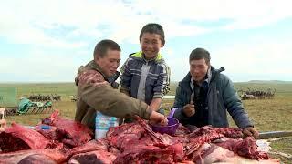 ОНИ ЕДЯТ СЫРОЕ МЯСО С КРОВЬЮ. THEY EAT RAW MEAT WITH BLOOD