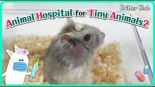 Today's Patient: Dwarf Hamster l Animal Hospital For Tiny Animals 2