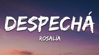 ROSALÍA - DESPECHÁ (Letra/Lyrics)