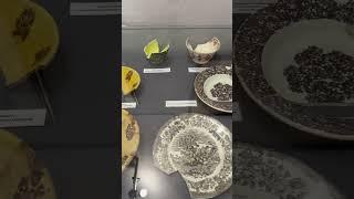 Museo civico #travel #museum
