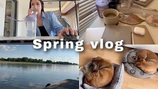 Spring vlog - daily life, Timi i Nora, haul ️