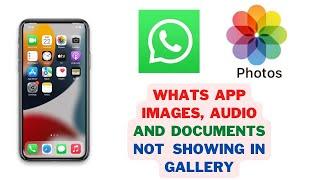 WhatsApp Images Not Showing in Gallery in iPhone