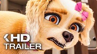 GRACIE & PEDRO: Pets to the Rescue Trailer (2024)