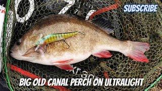 BIG OLD CANAL PERCH ON ULTRALIGHT!!!