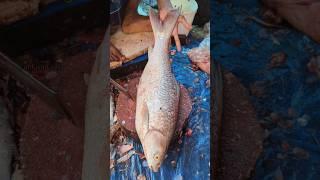 Popular Miguel Fish Cutting Skills by Expert Fish Cutter  || #shorts #fishcutting_skills