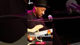 Marcus Miller Cool Slap Solo  @ChamisBass  #chamisbass #marcusmiller #livebass