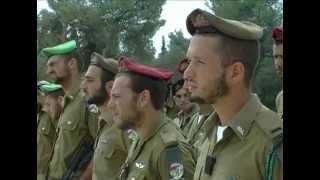 Friends of the IDF (FIDF) - Israeli Journey