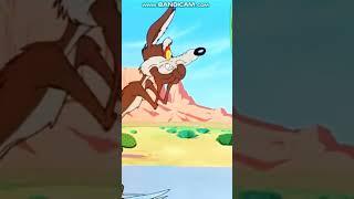 road runner one of the shows in90s #roadrunners #cartoon #vibes #race #food #android #madina#funny