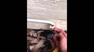 Leaking Hot Water System - Trusted Pest Management Brisbane Blog