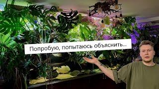 Рассказываю про тонкости содержания крупной рыбы, а так же про все рыбное население моего аквариума