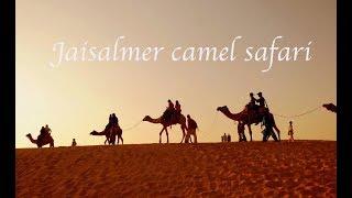 CAMEL SAFARI IN THE DESERT - JAISALMER, INDIA TRAVEL VLOG