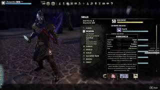 Stamina Sorcerer PvE Build / Стамина Сорка ПвЕ билд - Clockwork City