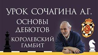 Видеоурок А.Г. Сочагина. Основы дебютов. Королевский гамбит (часть 1)