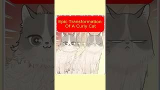 Epic Transformation Of A Curly Cat. #cat #animals #animation