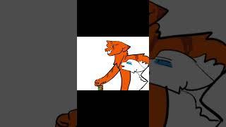 We had a  hell of a ride-| warrior cats turned me into a furry-| Firestar