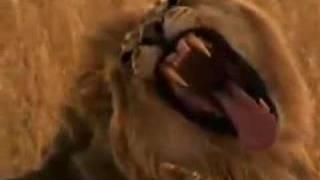 RE: Geert Wilders - Fitna the movie (The Bible version)