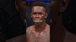 Israel Adesanya Knocks Out Street Bully