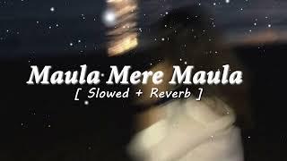 Maula Mere Maula (Slowed + Reverb) | Roop Kumar Rathod | Anwar | VibeTracks