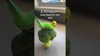 3 AMAZON Bird Toys! 