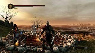 Как победить Вендрика БЕЗ ДУШ ГИГАНТА | Dark Souls 2