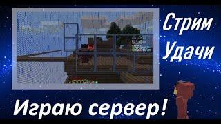 Играю сервер Skyblock Стрим игрок до богаты без Донатов (mc.prostocraft.ru)