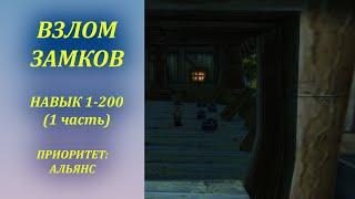 Быстрая прокачка Взлома замков 1-200 за Альянс (можно за Орду) в Wow Classic