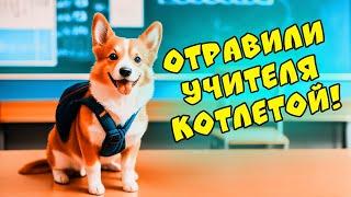 ЕСЛИ БЫ ПЁСИКИ ХОДИЛИ в ШКОЛУ! Последний звонок!! (Корги Коржик) Говорящая собака