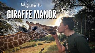 Luxury Experience in The Giraffe Manor