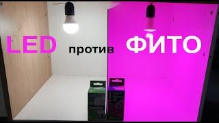 Тест в гроубоксе Фитолампа VS  LED лампа